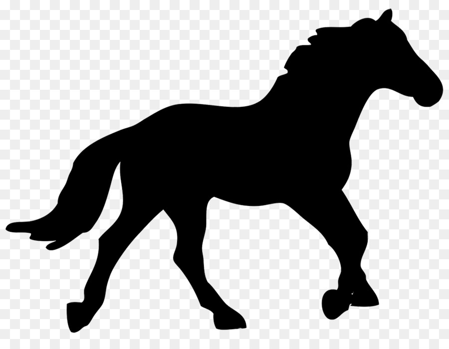 900x700 Silhouette, Equestrian, Drawing, Transparent Png Image Clipart