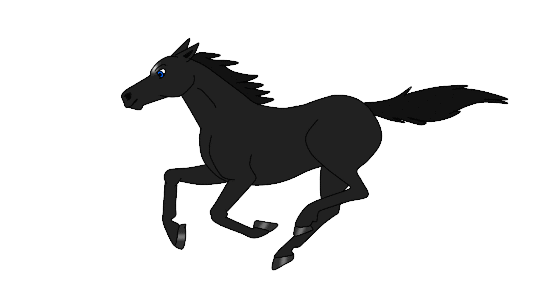 550x300 Horse Galloping Gif