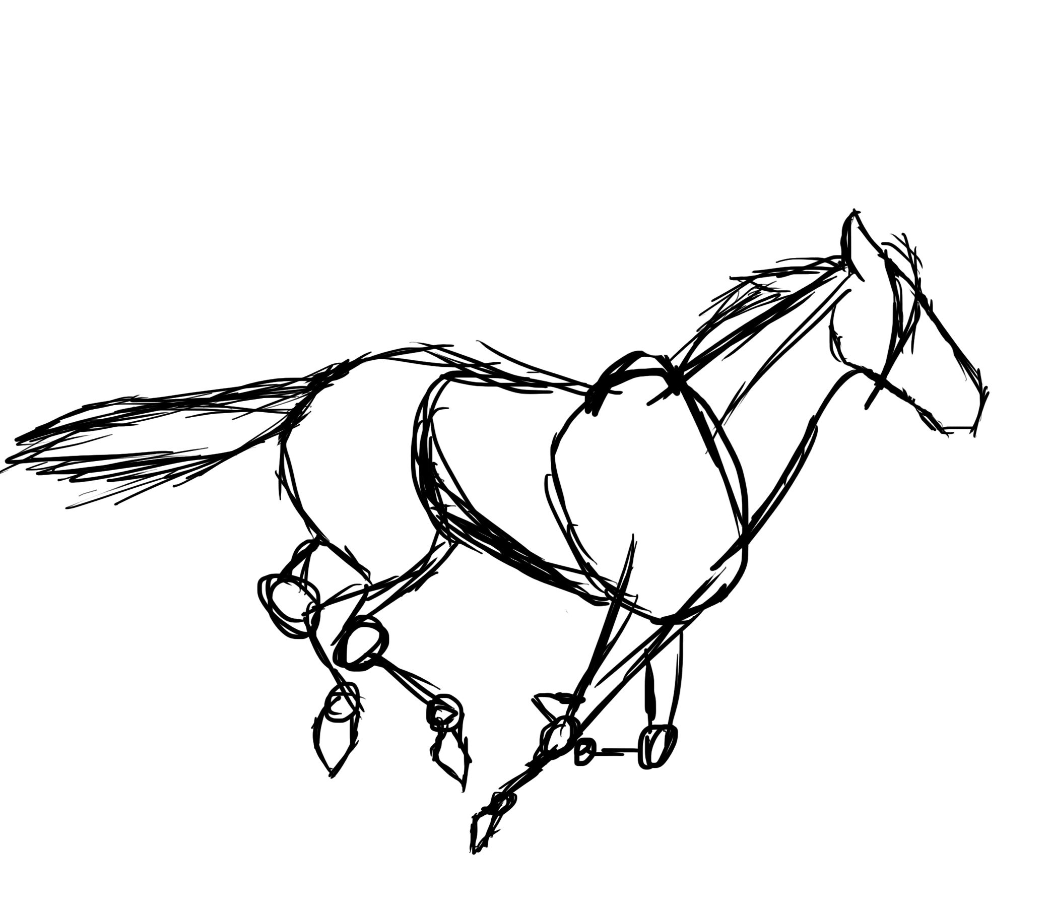 2084x1800 beautiful horses on gifs galloping stallions over gif animations