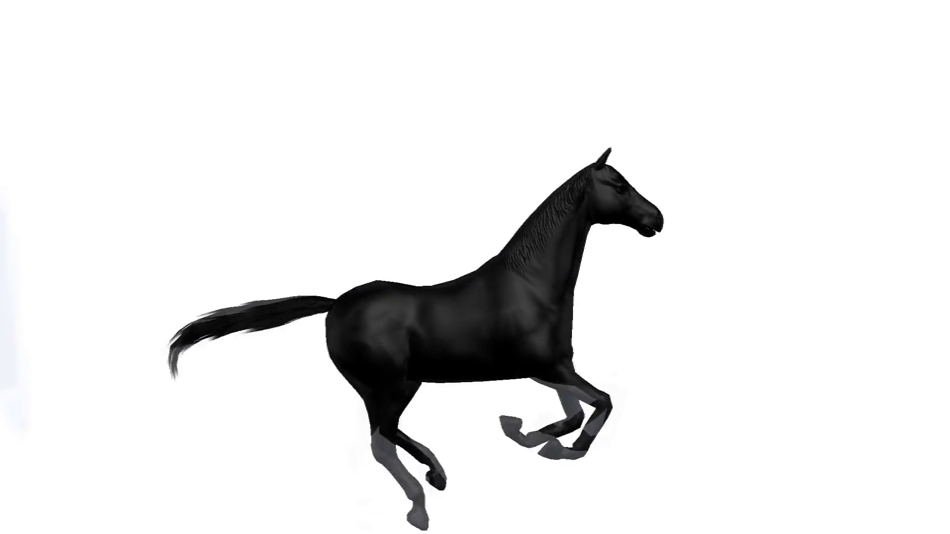 1920x1080 black horse galloping across a white background motion background