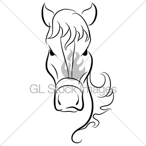 500x500 Horse Head Drawing Gl Stock Images