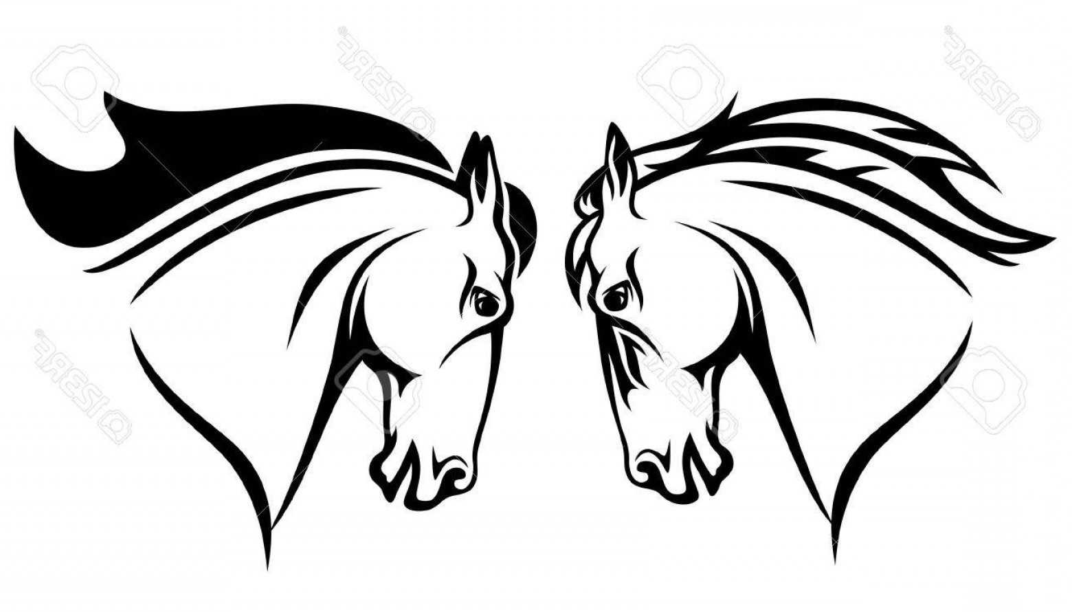 1560x891 Photohorse Head Vector Design Black And White Outline Lazttweet