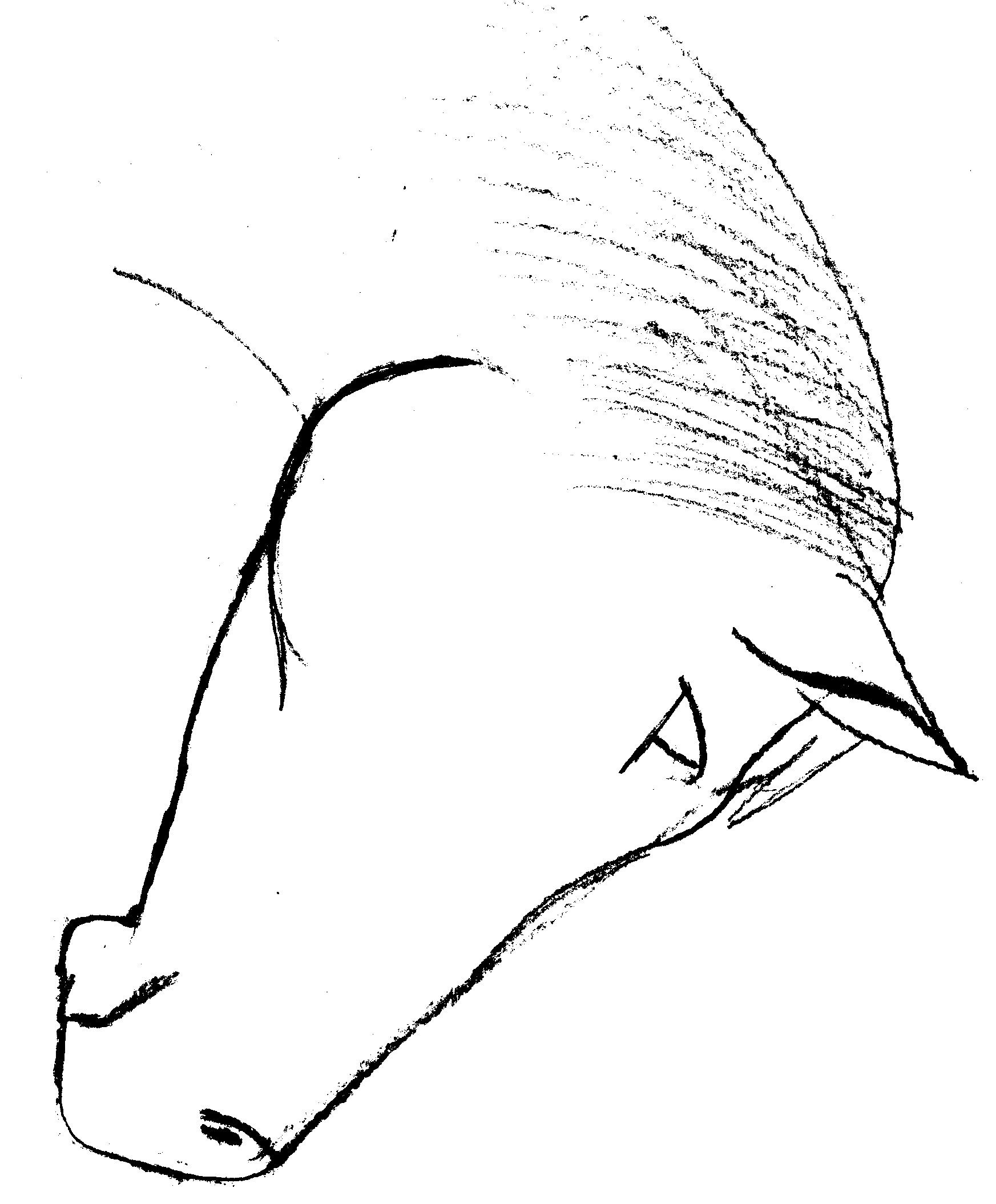 1745x2110 Easy Horse Drawings Horse Head Drawing