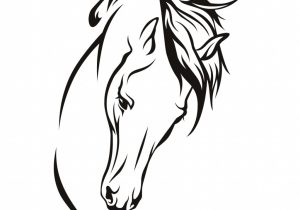 300x210 Horse Face Drawing Step