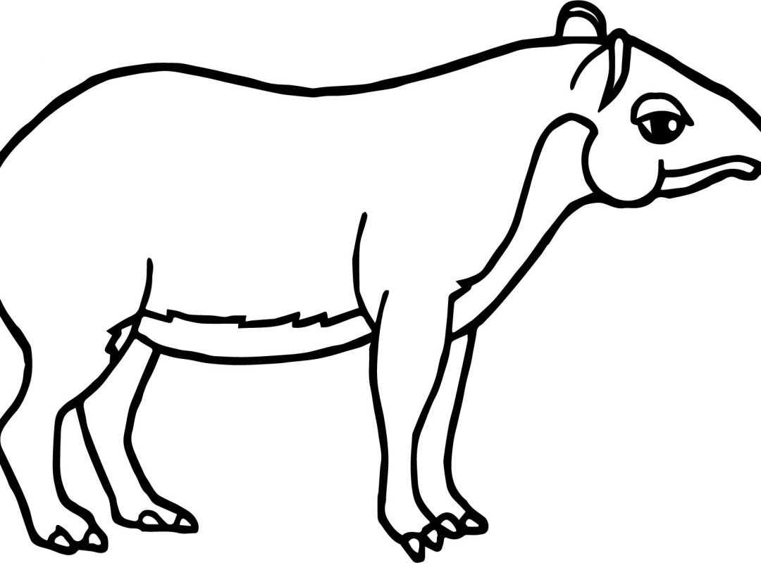 Horse Head Drawing Easy