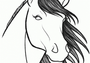 300x210 Easy To Draw Horse Head