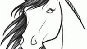 280x158 How To Draw A Realistic Horse Head Step