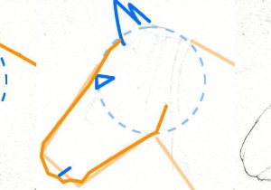 300x210 Steps To Draw A Horse Head Simple Horse Head Drawing How To Draw