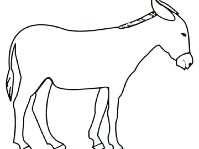 640x480 Donkey Drawing Donkey Head Drawing Easy Lali