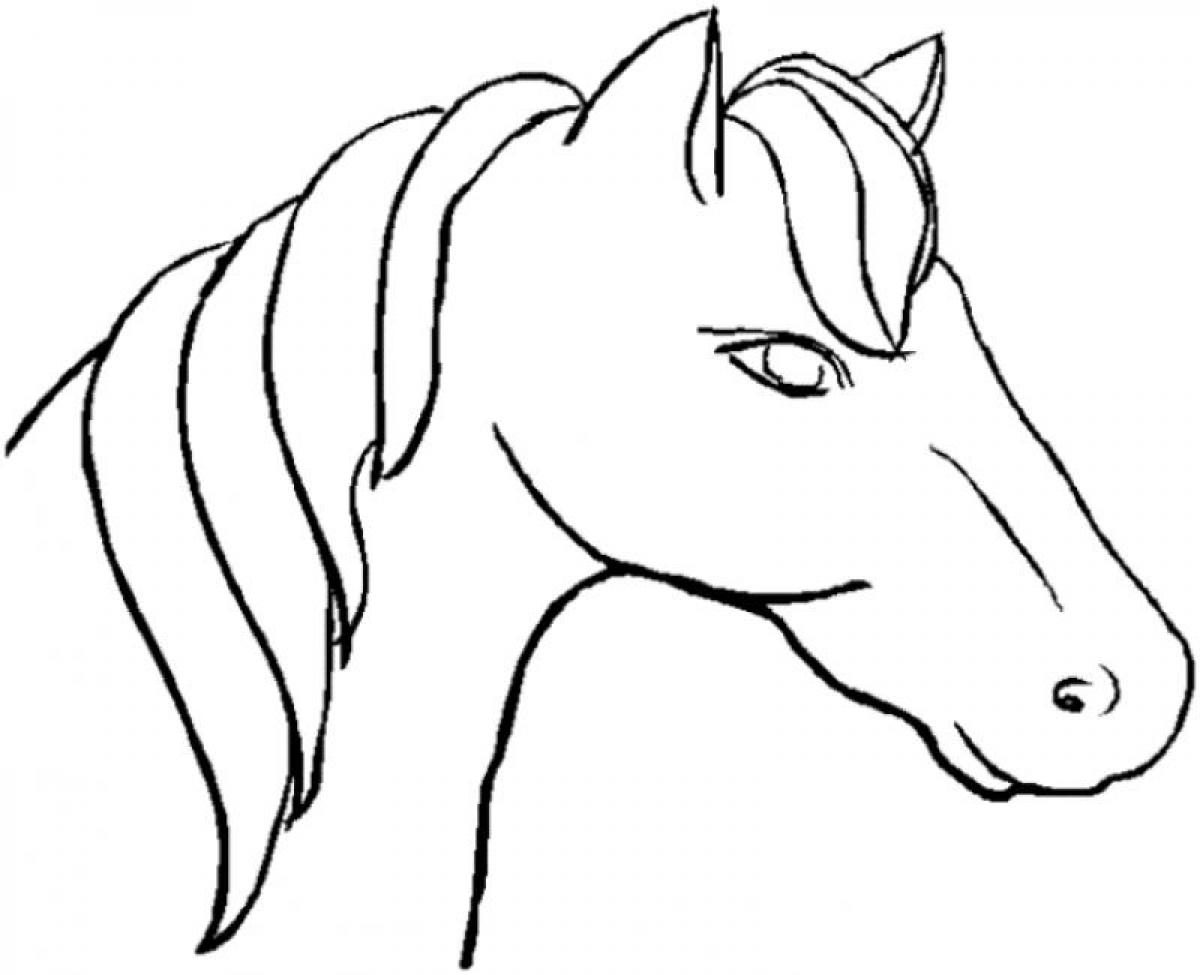 1200x975 Draw Cartoon Horse Head