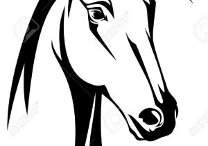 300x210 Horse Head Drawing Outline