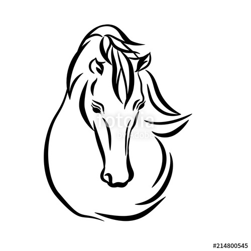 500x500 Horse Head Graphic Logo Template, Vector Illustration On White