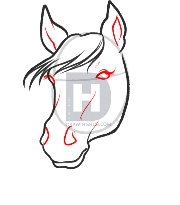 632x720 How To Sketch A Horse, Step