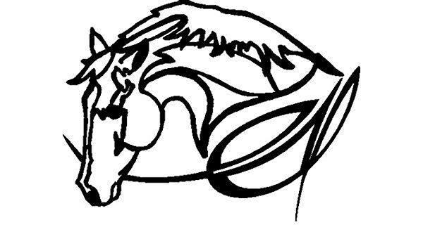 600x350 Western Graphics Horse Head Decal