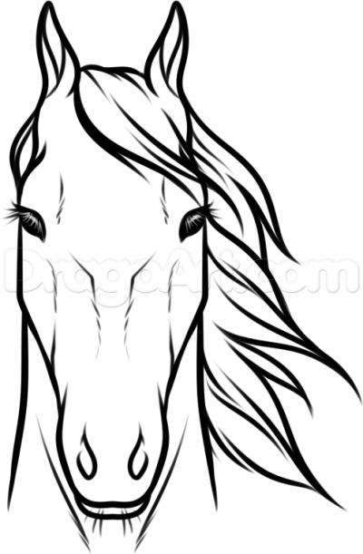400x611 Draw Horse Heads And Faces Step Horses In Horse Drawings