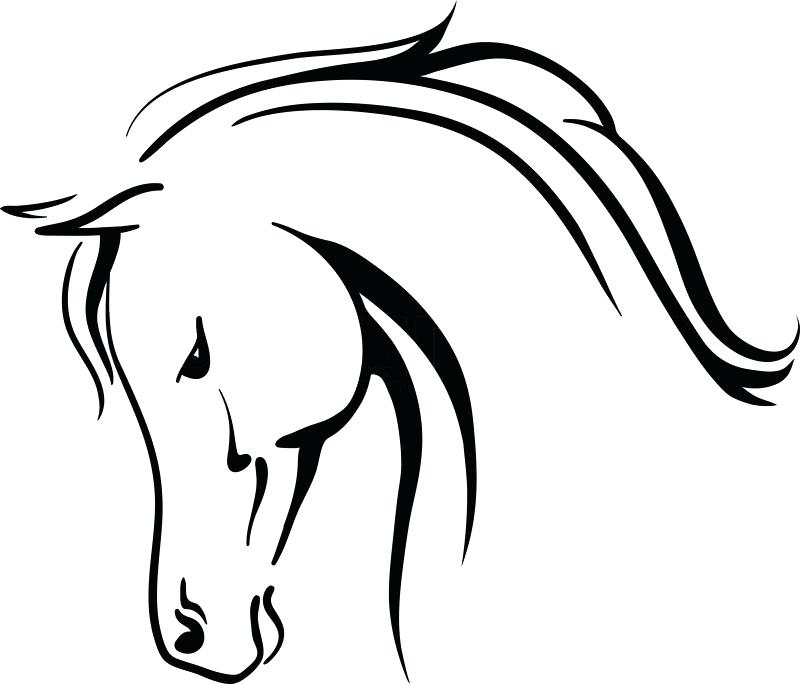 800x684 Horse Head Clip Art Images Drawing