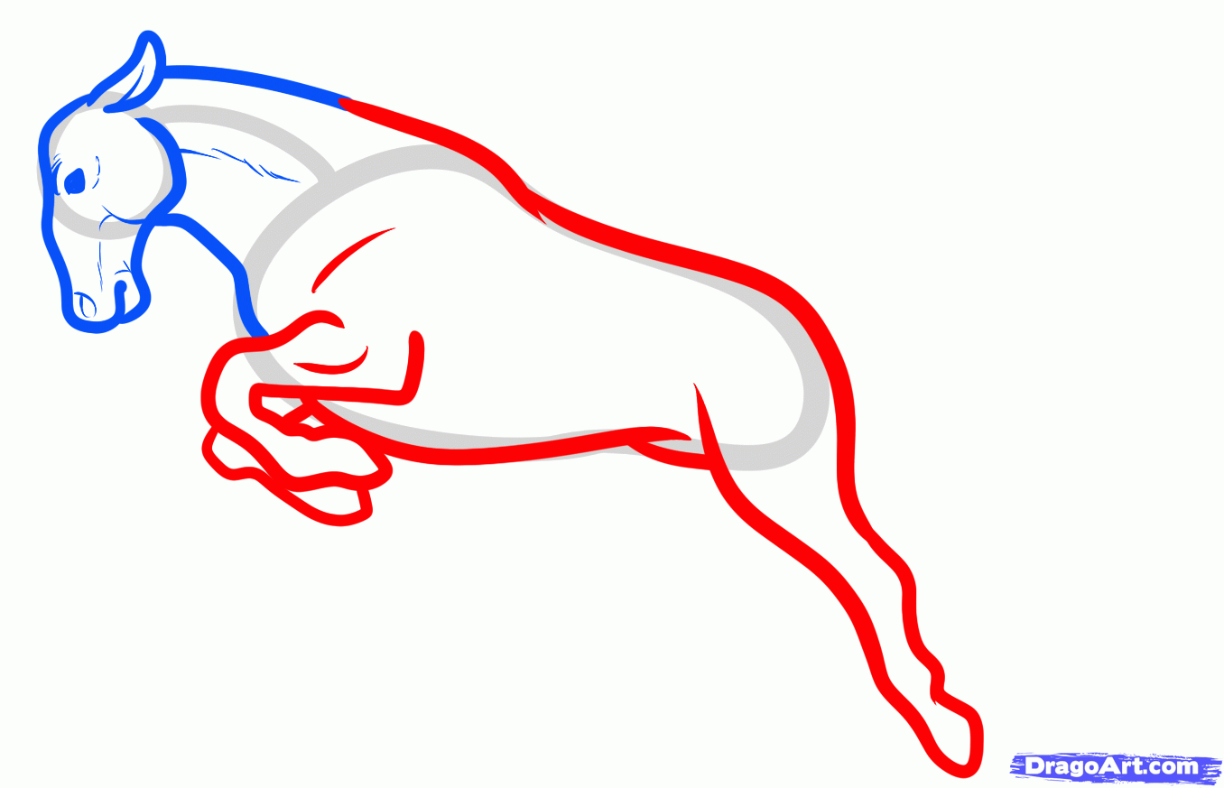 1356x873 How To Draw Horse Step