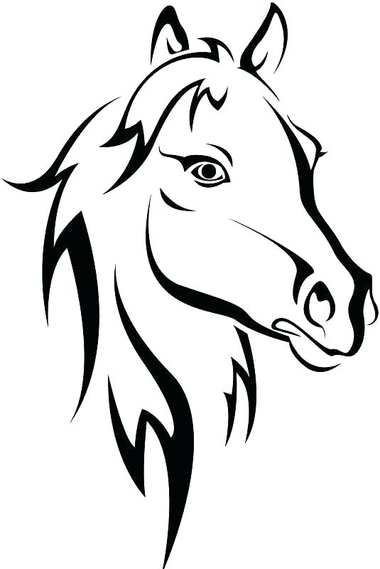 535x800 Free Printable Horse Head Coloring Pages Horse Printable Coloring