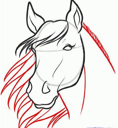 384x416 Image Result For Horse Head Drawings Easy Step
