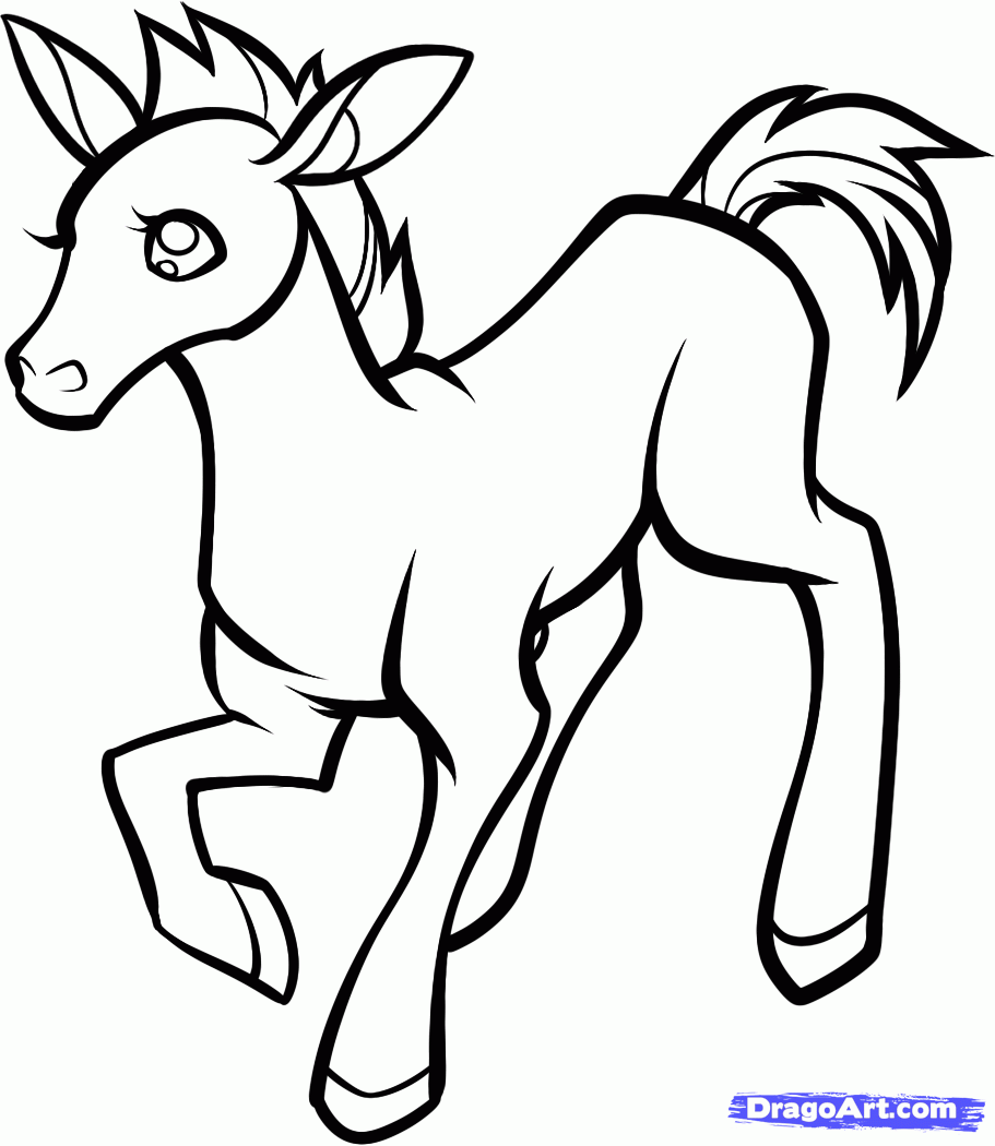 911x1050 step how to draw a foal, baby foal