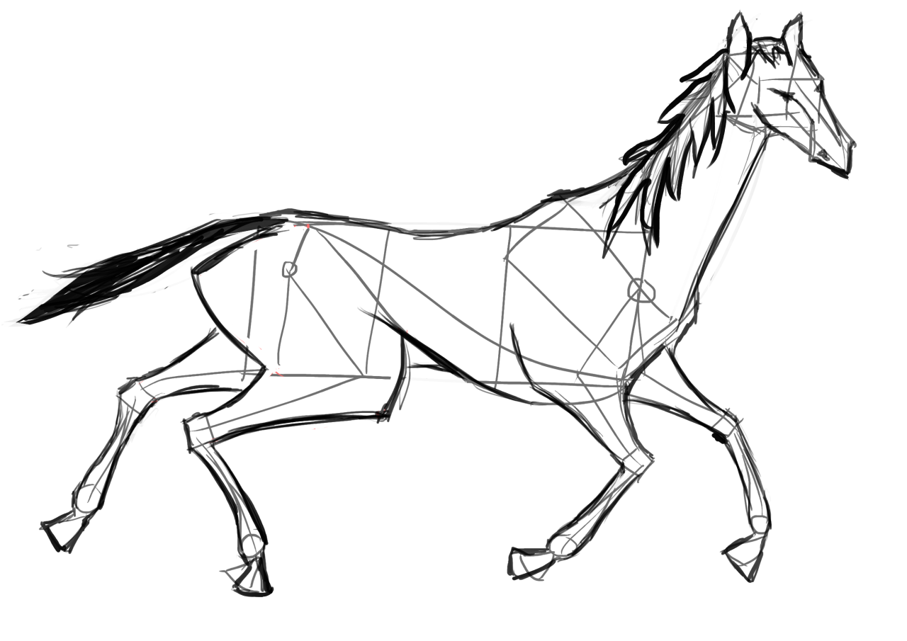 1280x905 Horse Tutorial