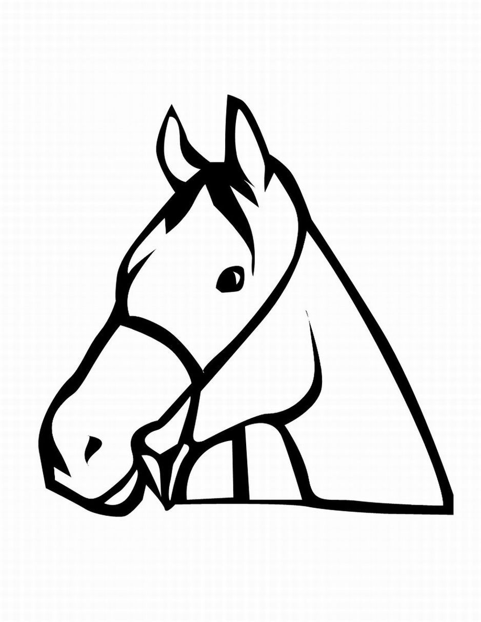 Horse Head Front View Drawing