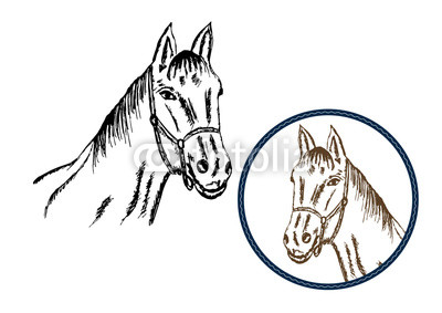 400x283 Hand Drawn Horse Head Vector Illustration Vintage Drawing Horse