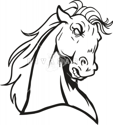364x400 Horse Head Front View Clipart