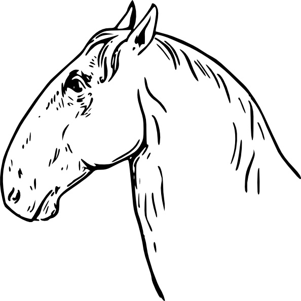 594x595 Ram Headed Horsehead Clip Art Free Vector In Open Office Drawing