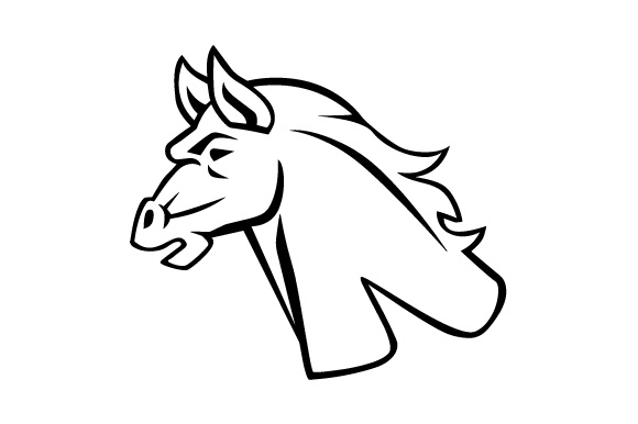 580x386 Quarter Horse Head Shot In Bic Pen Drawingcheryl Poland