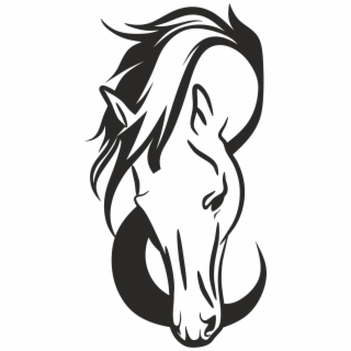 320x320 Hd Horse Animal Horse Head Equine Png Image