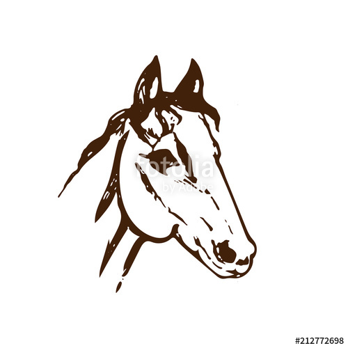 500x500 Hand Drawn Sketch Of Horse Head Brown Ink Line Drawing Isolated