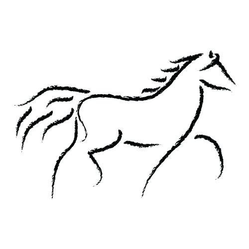 500x500 How To Draw A Simple Horse Step