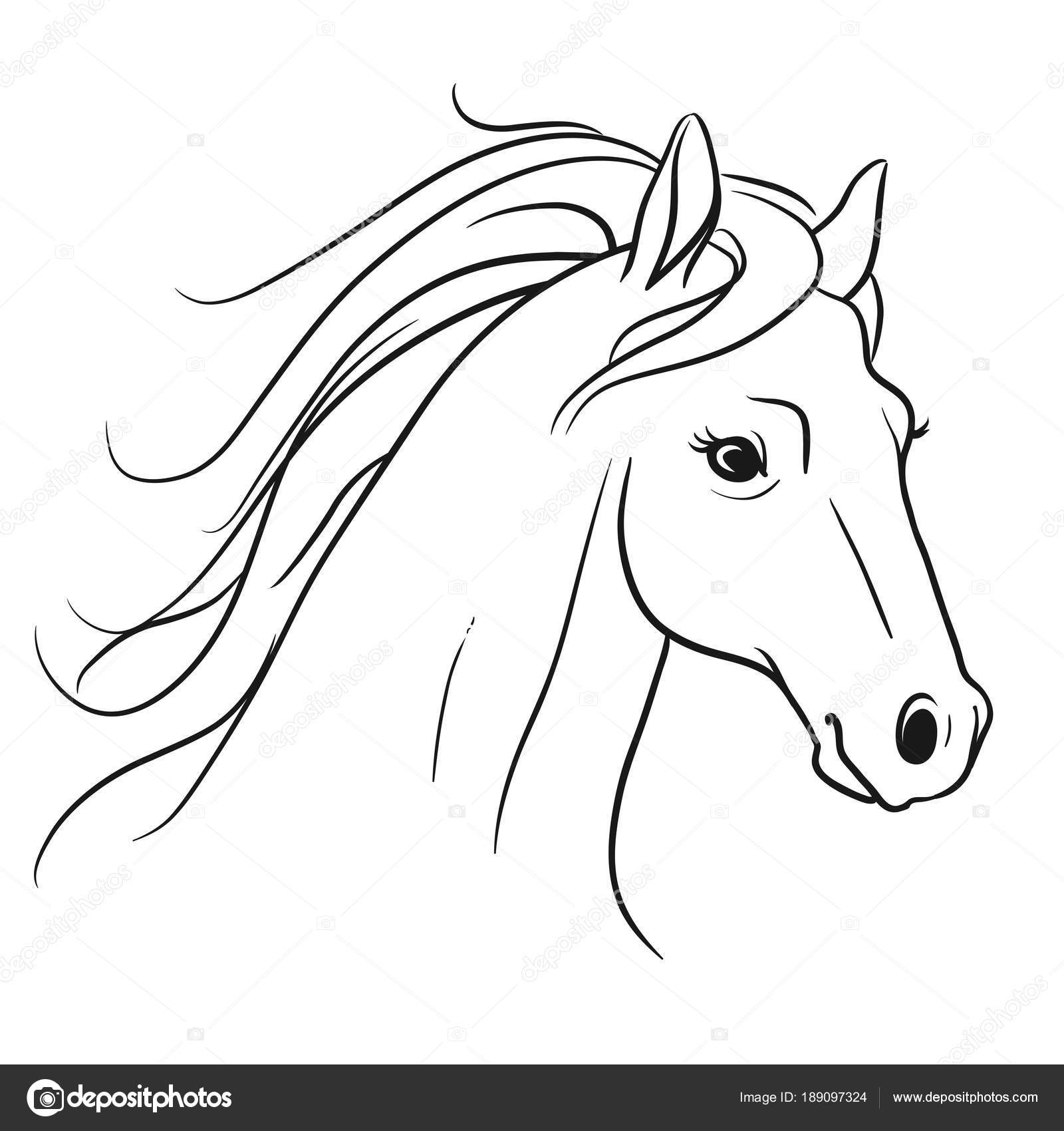 1600x1700 Huge Collection Of 'horse Head Line Drawing' Download More Than