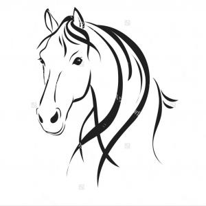 300x300 Stock Illustration Sketch Of A Horse Head Soidergi