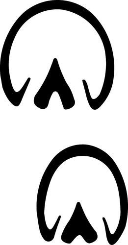261x500 Hoof Print Cliparts Free Download Clip Art Free Clip Art On Horse