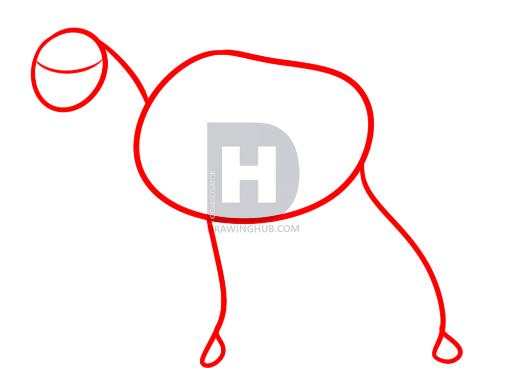 1002x720 Horse Hoof Drawing Line