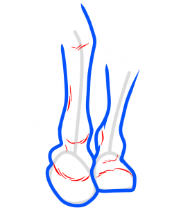 261x302 How To Draw Hooves, Step