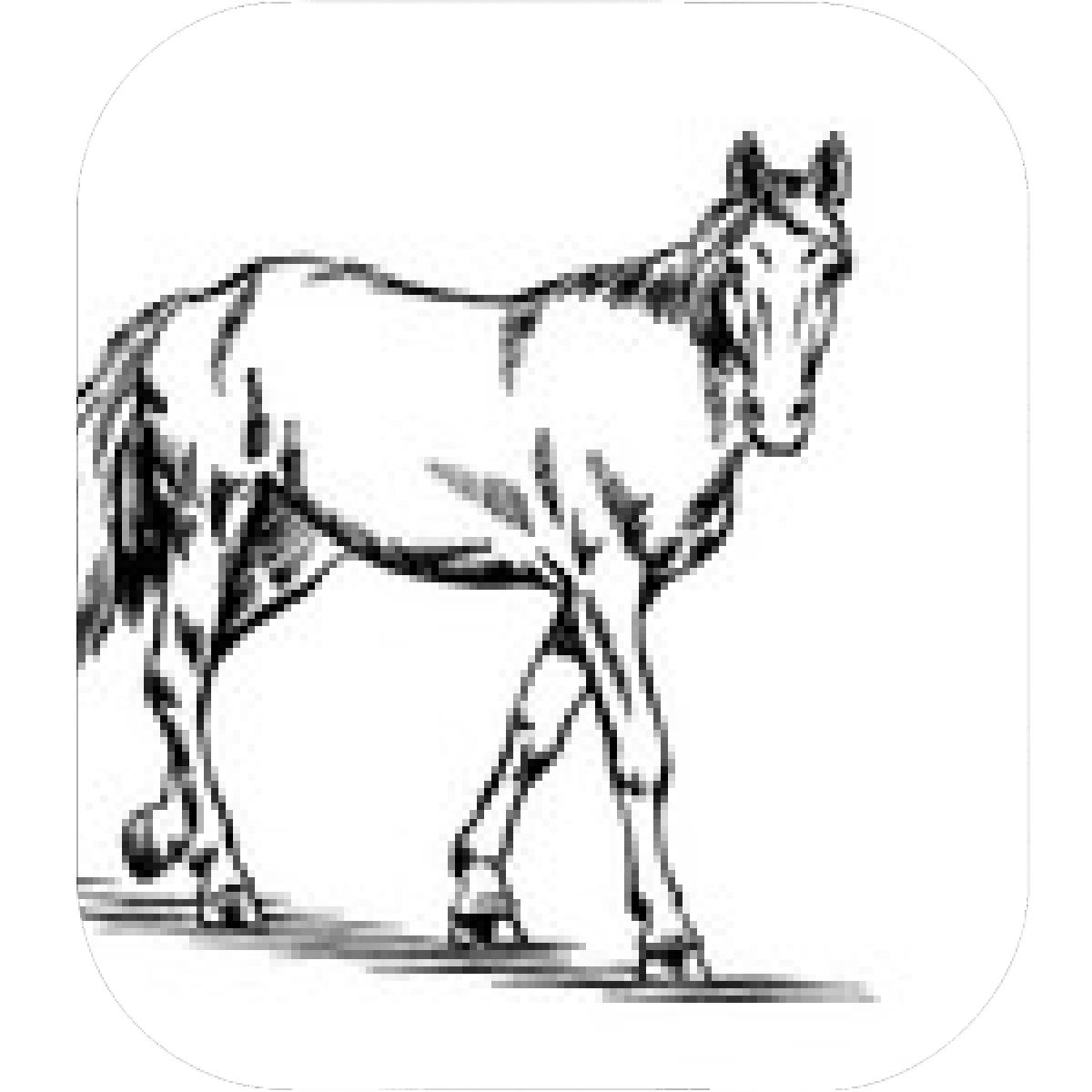 1200x1200 Designs Mein Mousepad Design Mousepad Selbst Designen