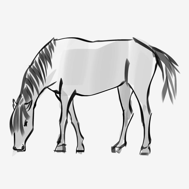 640x640 hand painted ink horse grazing, illustration, chinese style, ink