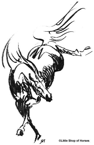 398x609 horses in ink horses, horse