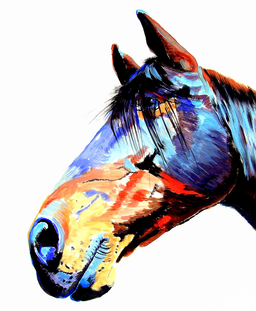 989x1200 Steve Messenger On Twitter Forelock Shadow