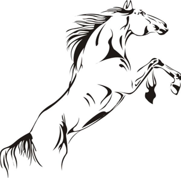 600x592 Horse Jumping Wall Art Stickers Vinyl Decal Stylish Home Graphics