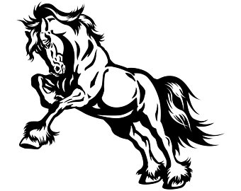 340x270 Jumping Horse Etsy