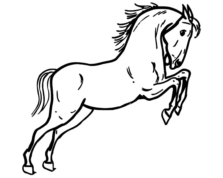 900x720 Simple Horse Jumping Drawing
