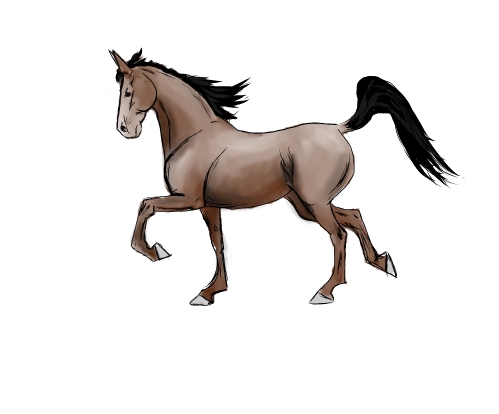 499x414 Download This Image As Image Titled Draw A Horse Step Outline