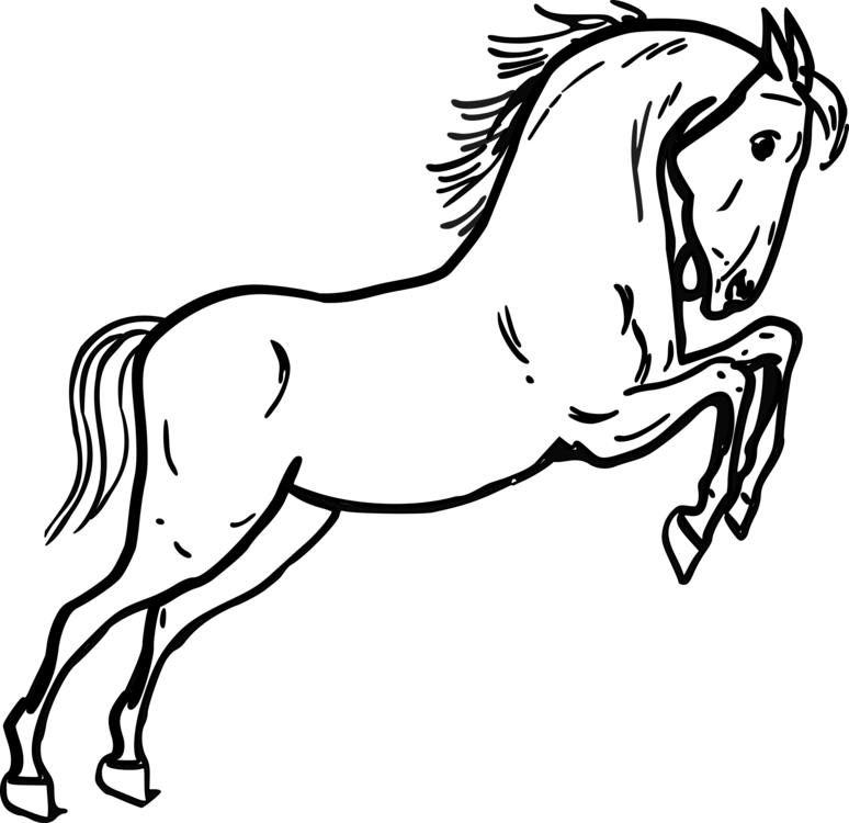 774x750 Collection Of Free Drawing Horse Jumping Download On Ui Ex