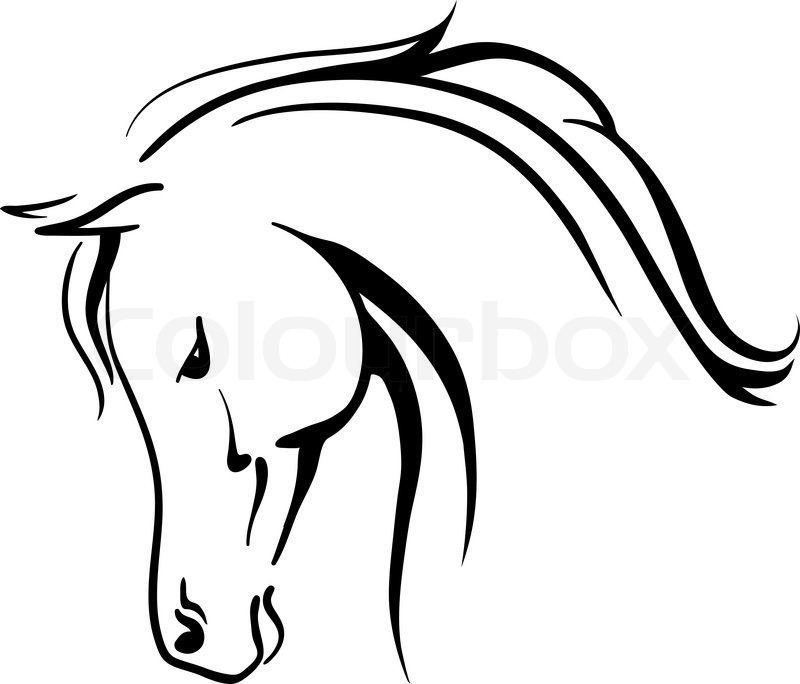 800x684 Collection Of 'horse Line Drawing Clip Art' Download More Than