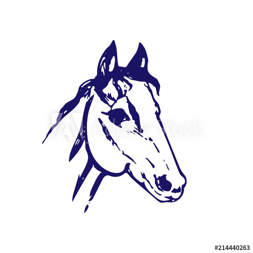 500x500 Hand Drawn Sketch Of Horse Head Bllue Ink Line Drawing Isolated