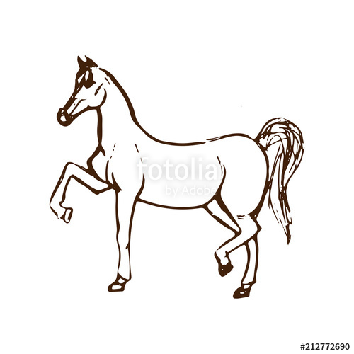 500x500 Hand Drawn Sketch Of Horse Brown Line Drawing Isolated On White